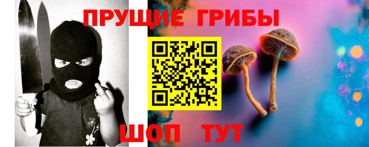 Вологда  Псилоцибиновые грибы прущие грибы  Псилоцибиновые грибы ЛСД  Вход с VPN 